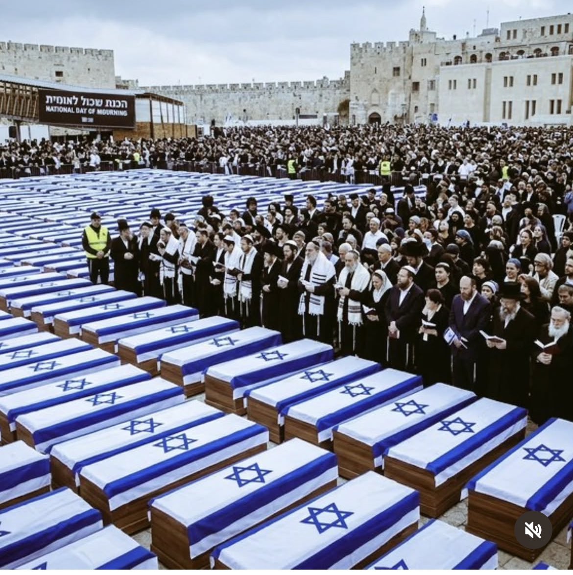 Talip OĞUZ 🇹🇷 tweet media