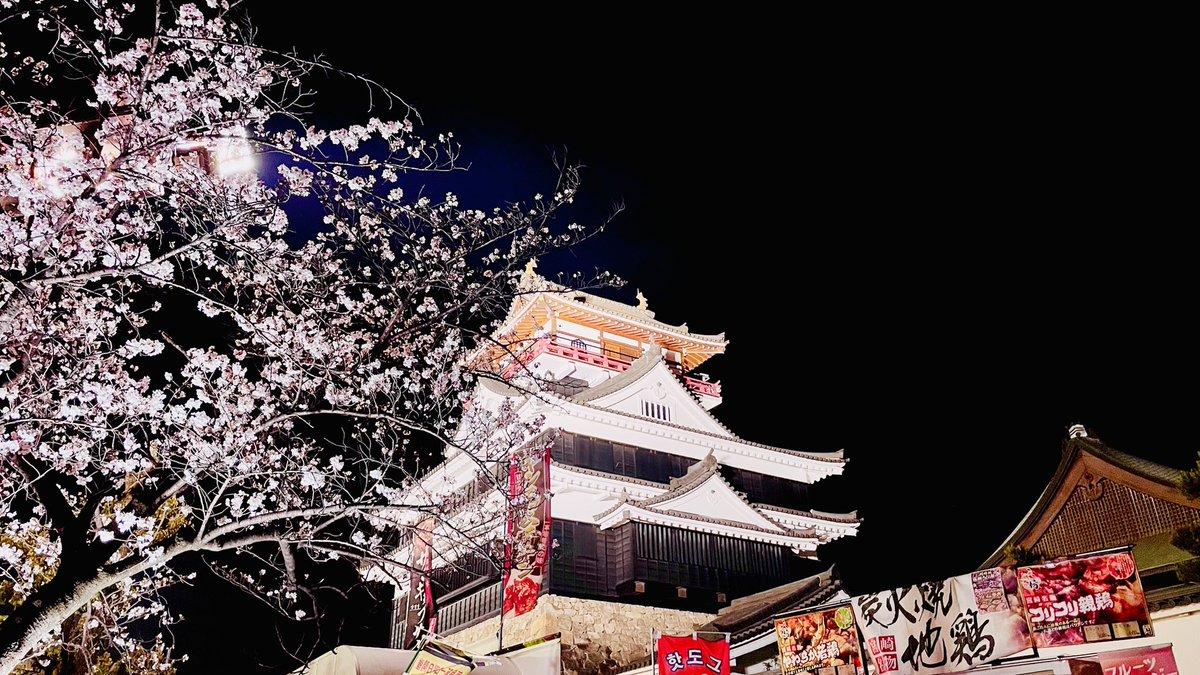 こちらも愛知の桜の名所、清洲城・清洲公園の夜桜を見に行ってきました