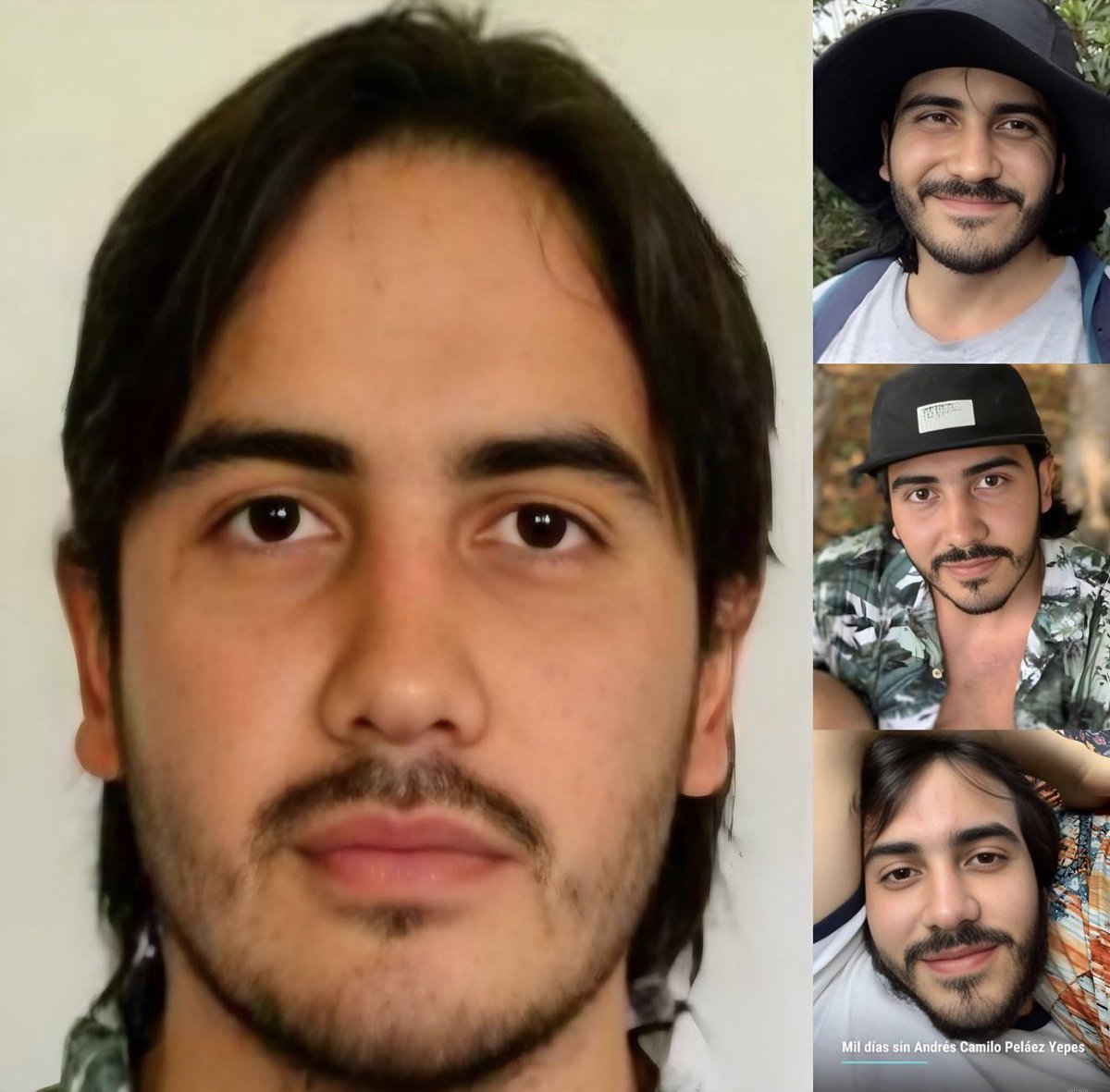 Claudia Yepes upegui tweet media