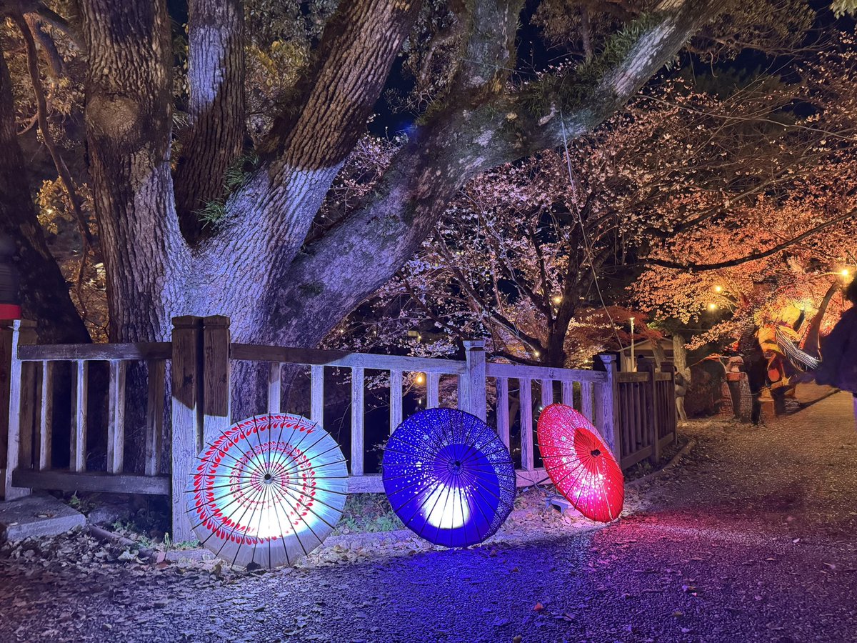 ぬいぐるみんず3 tweet media