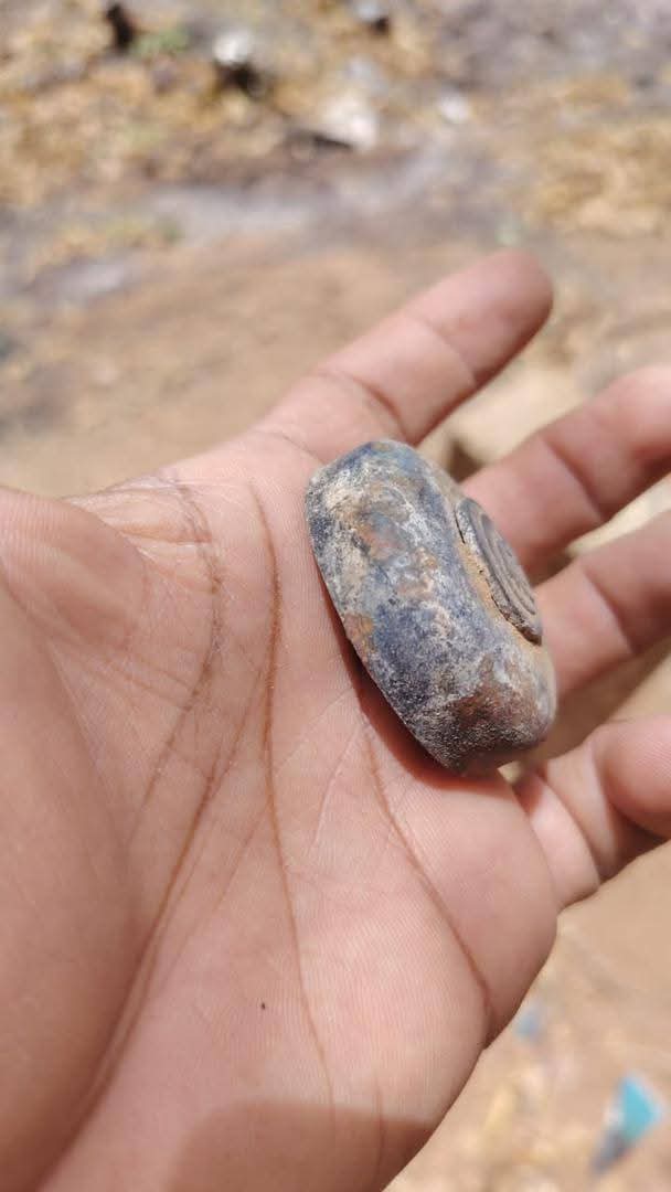 Dalia ElMahdi tweet media