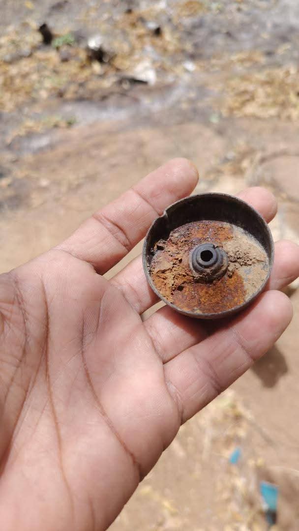 Dalia ElMahdi tweet media