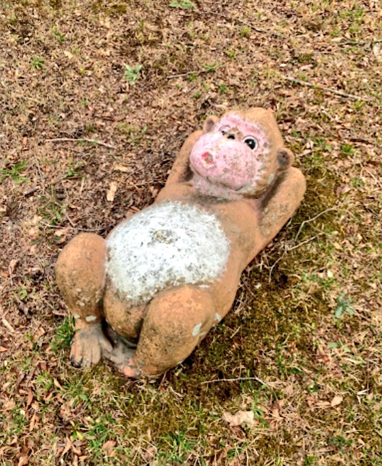 FryskePokémon tweet media