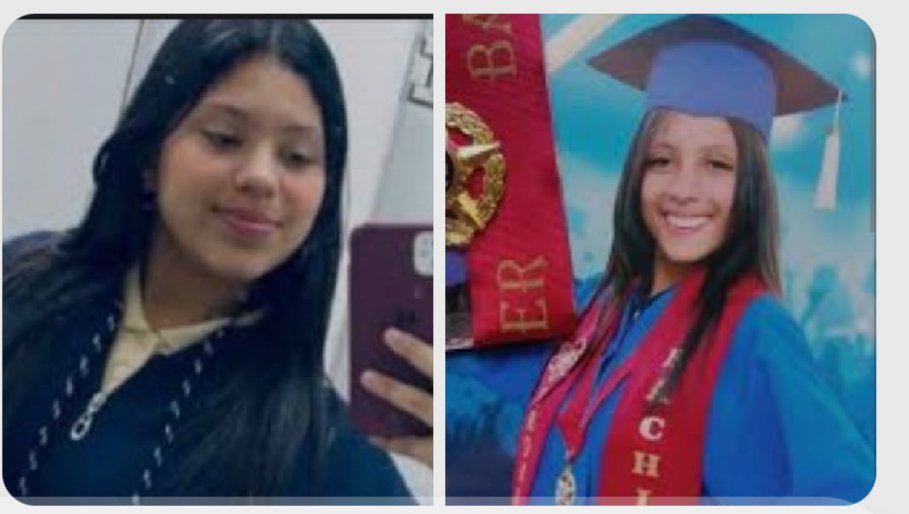 ela ferris tweet media