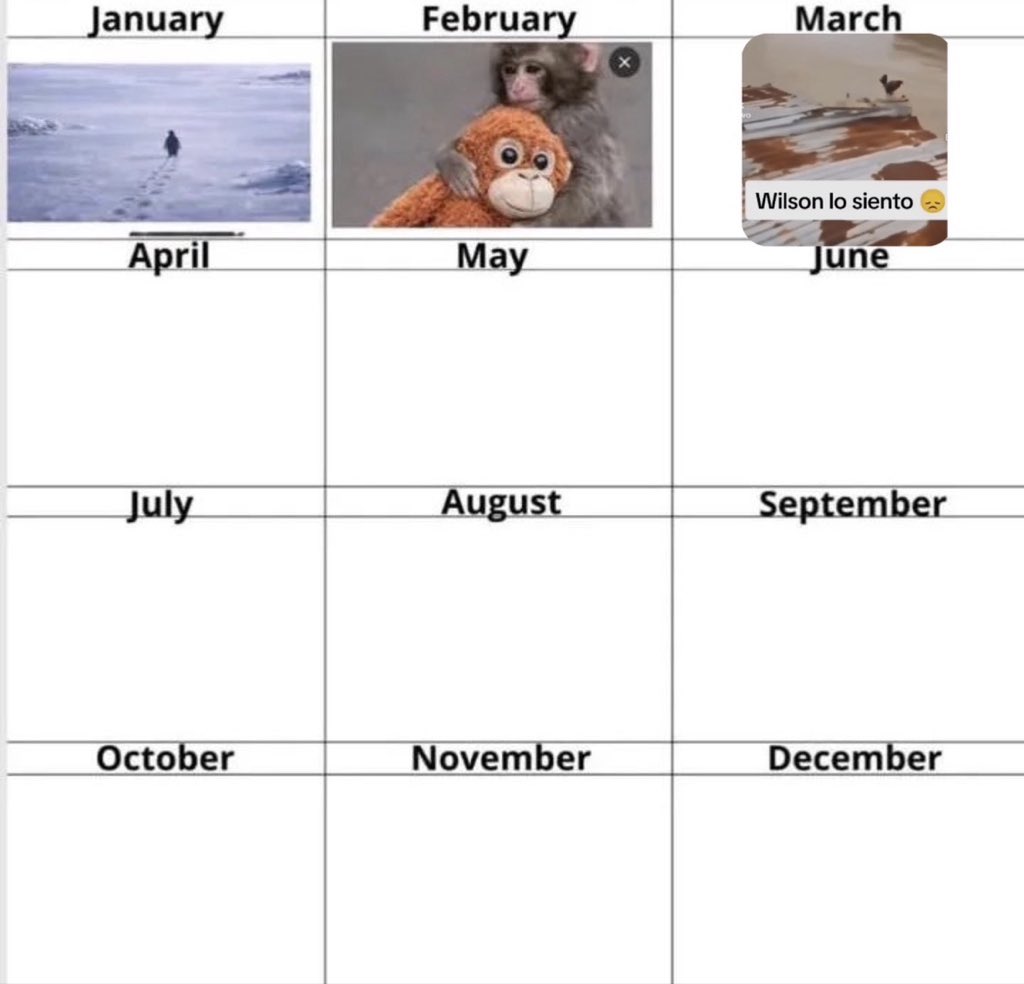 Qubitist tweet media