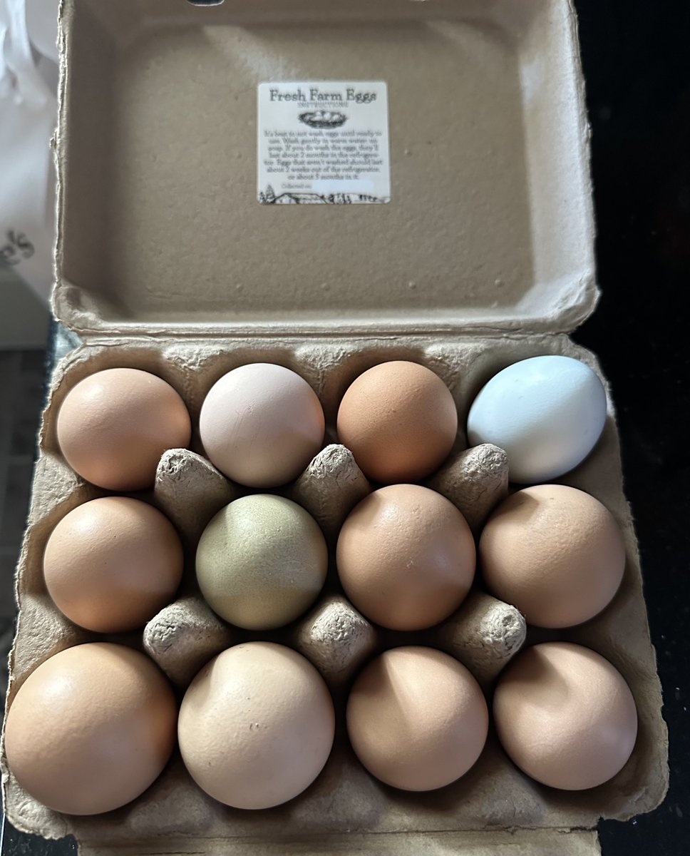 FrankChallenger 🎸🇺🇸 tweet media