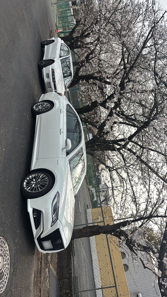 おい笑 tweet media