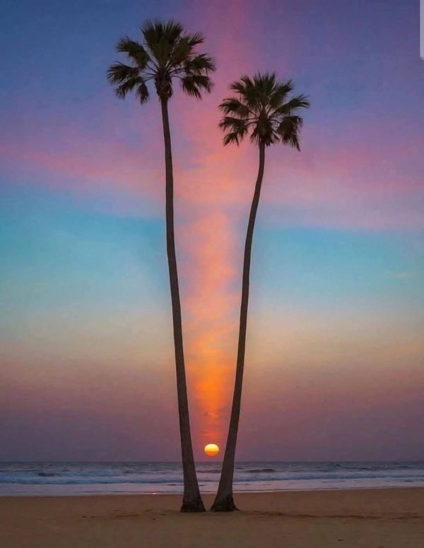 WORLD DECODED tweet media