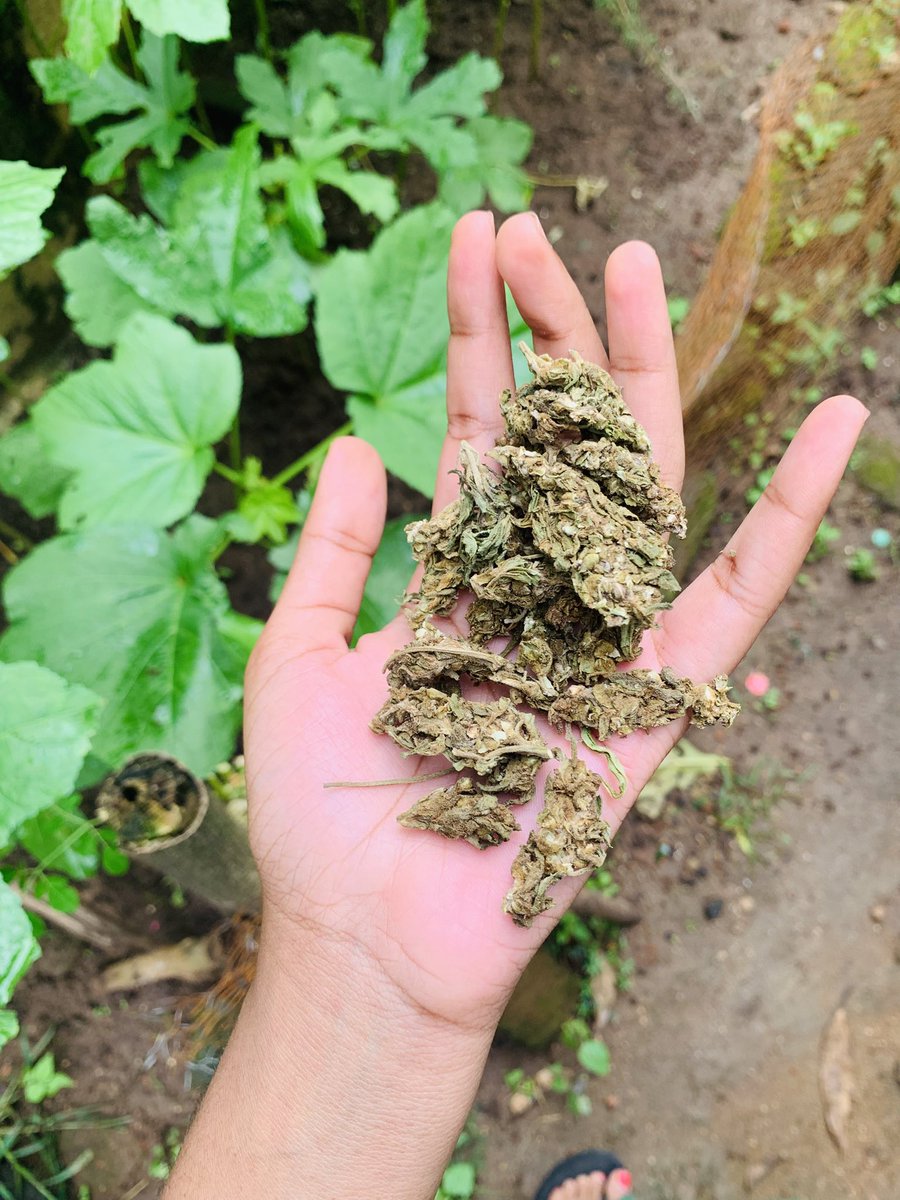 🌼Anita-🌼 tweet media