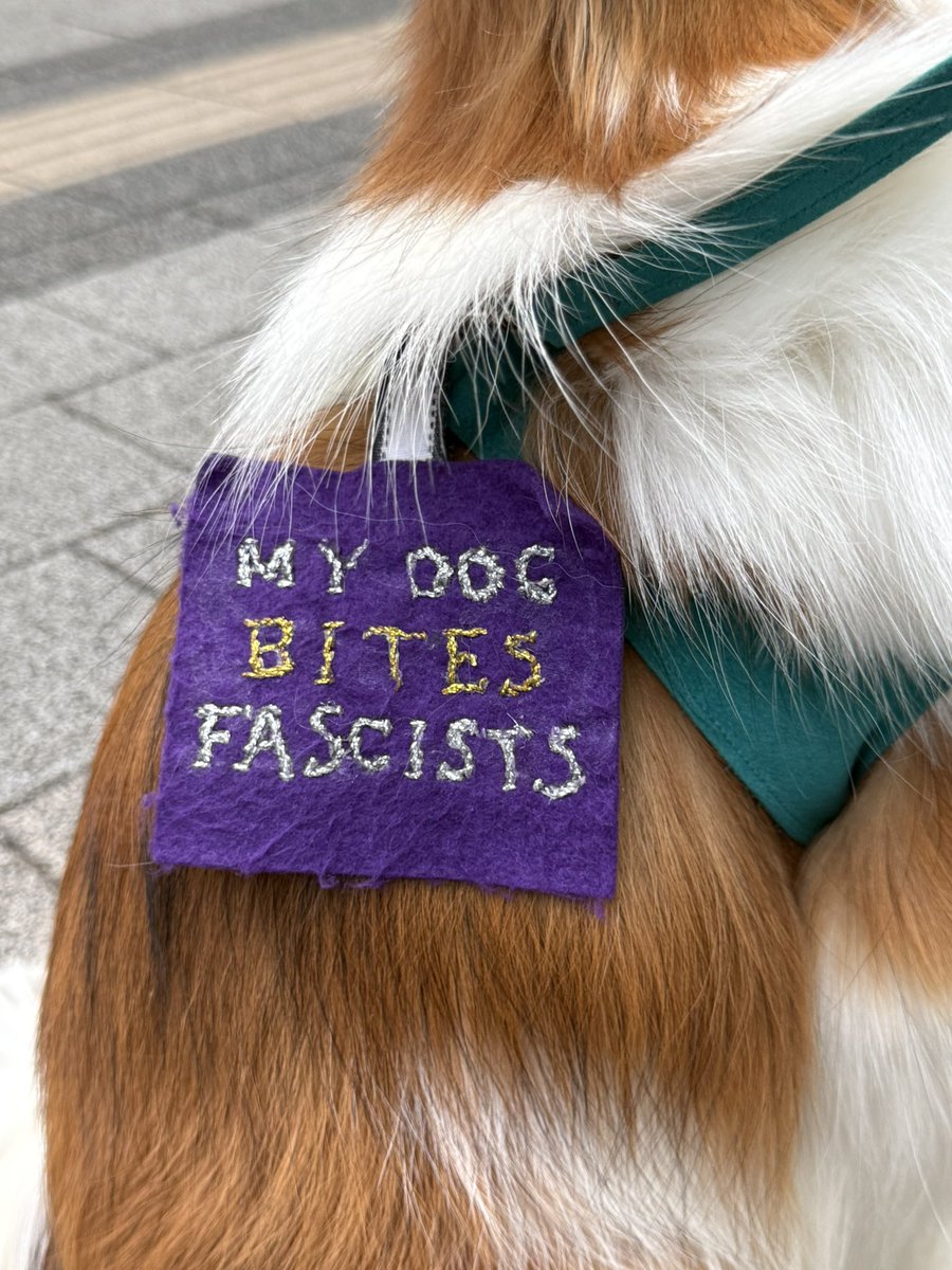 ゲソ屋 tweet media