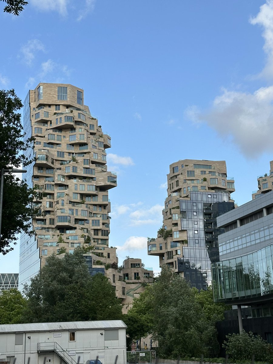 SwornToAvenge tweet media