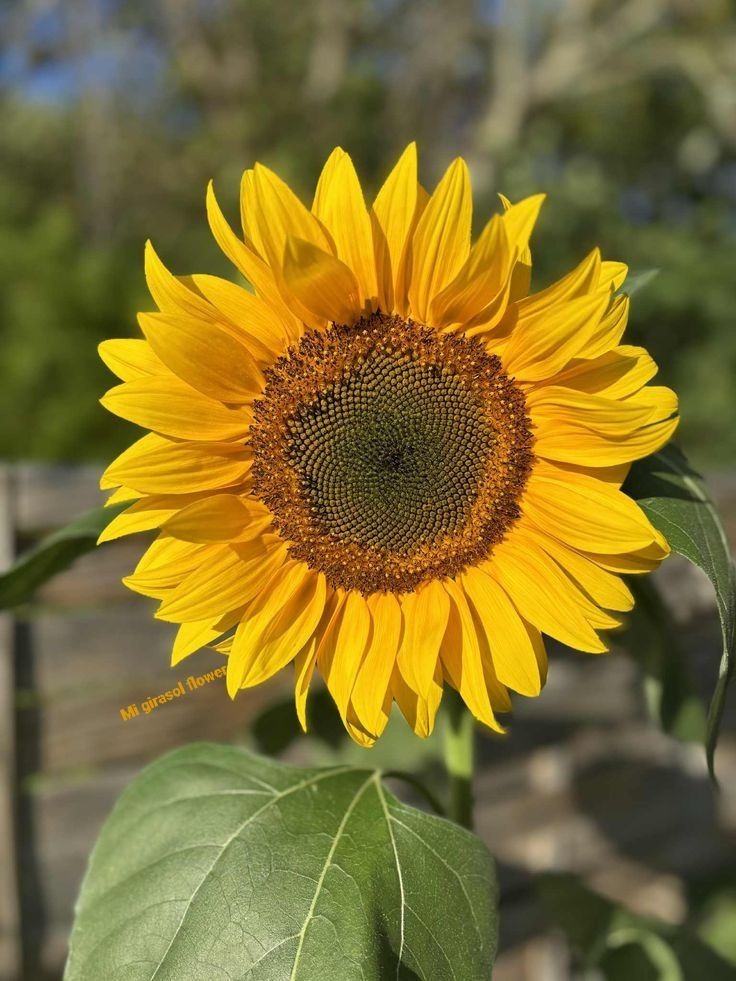 Engelberth Freites Q. tweet media