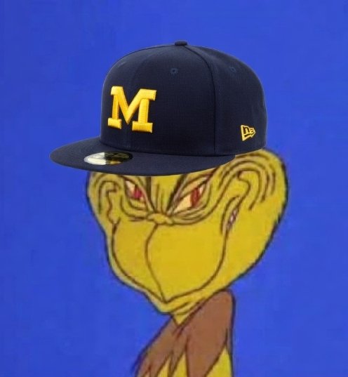 Wolverines 4 life tweet media