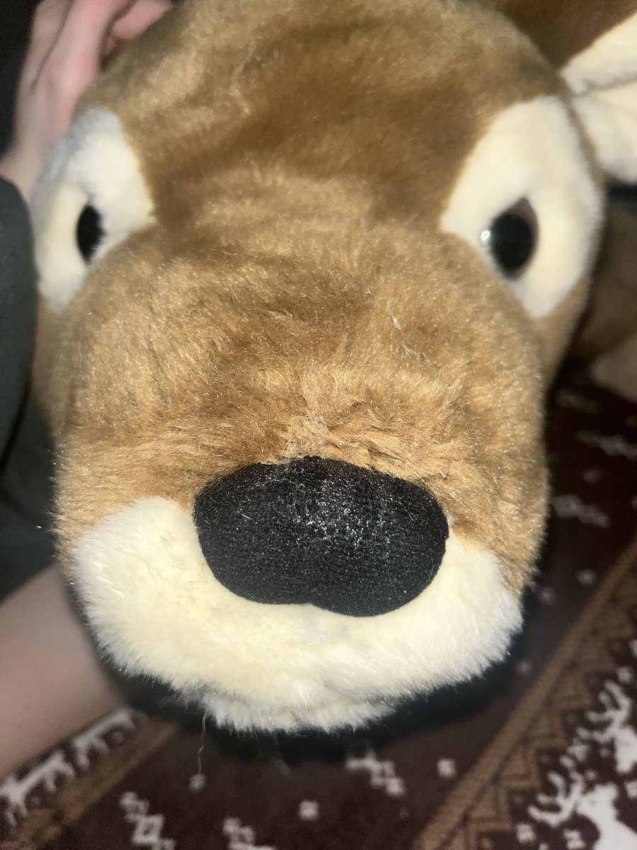 Winona ─ ⟡ ˙🌱 ̟ ˖ tweet media