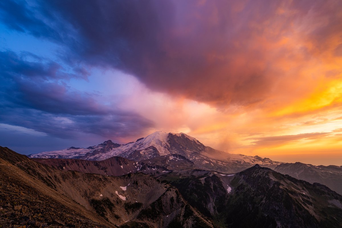 Nateinthewild | Nate Luebbe tweet media