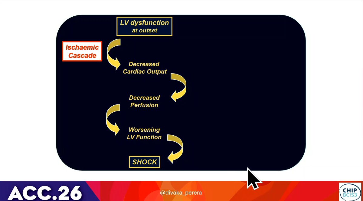Shariq Shamim tweet media