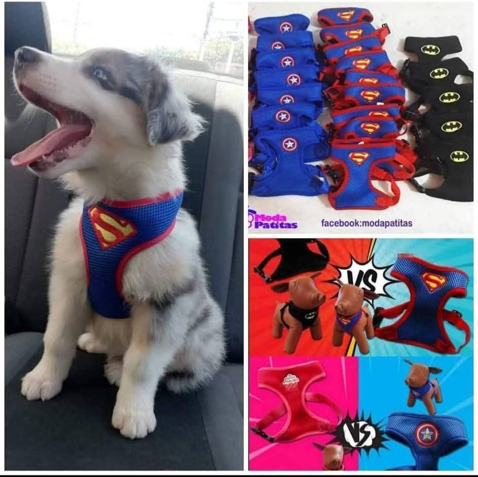 Moda Patitas tweet media