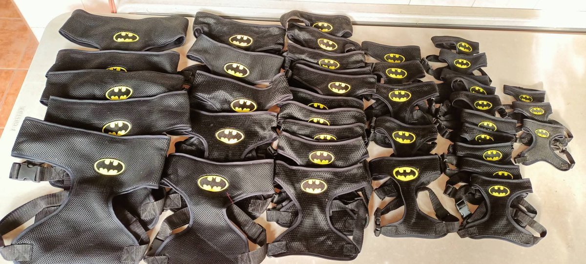 Moda Patitas tweet media