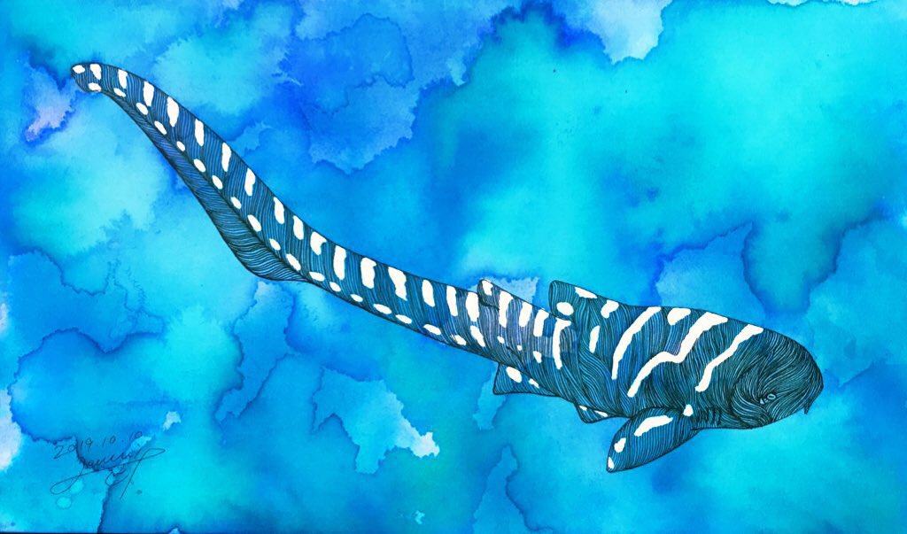 繁田穂波|shigeta honami tweet media