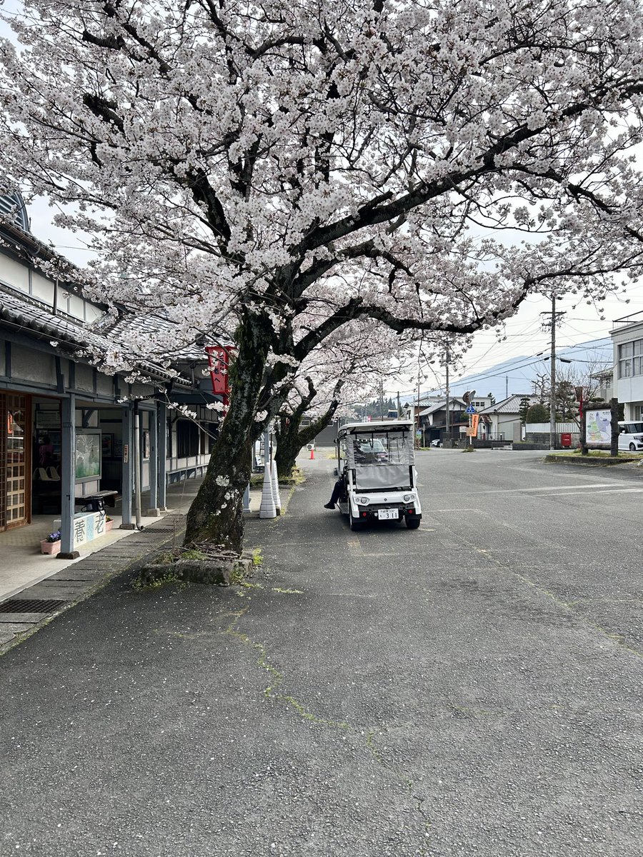 かみしたともや tweet media