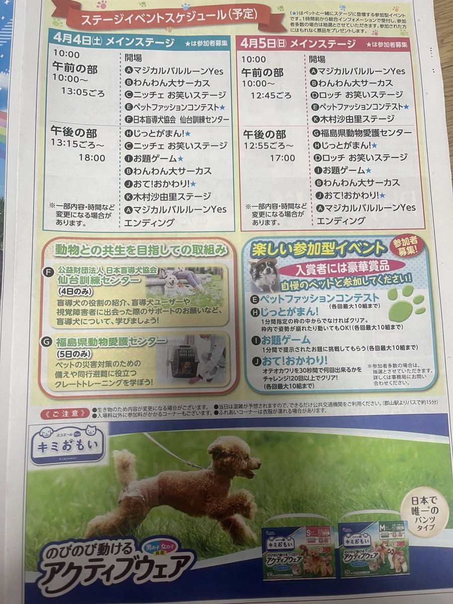 【公式】マジカルバルルーンYes tweet media