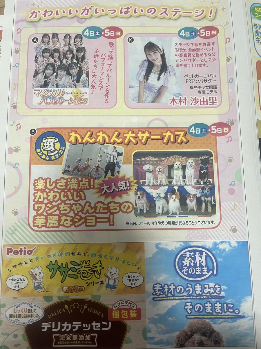 【公式】マジカルバルルーンYes tweet media