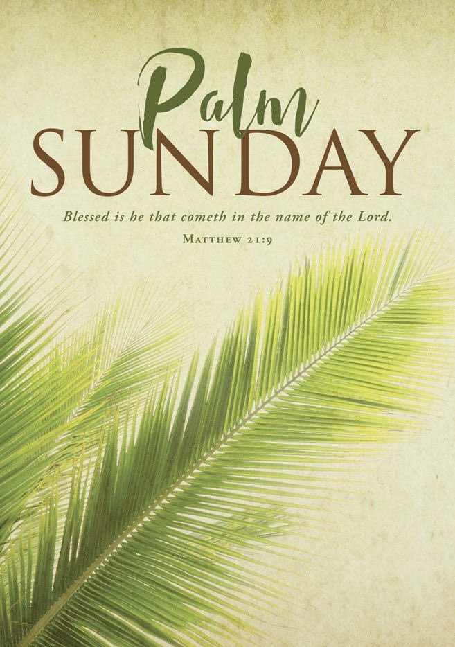 mhs - NUCLEAR MAGA tweet media