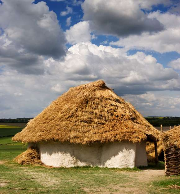 ⌜7mo⌟ tweet media