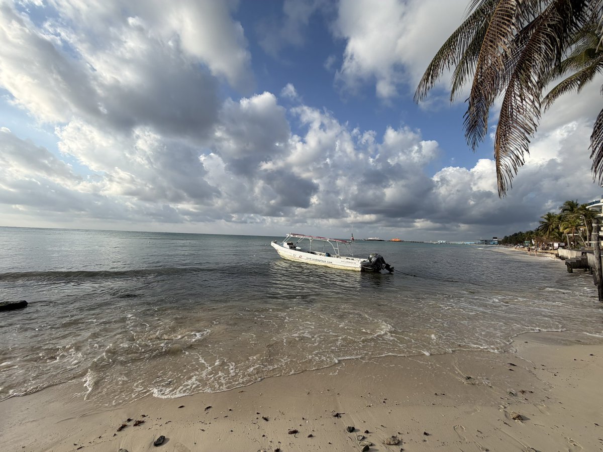 Info Quintana Roo tweet media