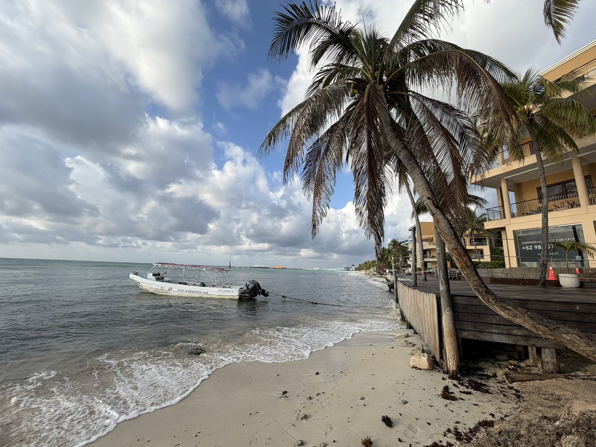 Info Quintana Roo tweet media