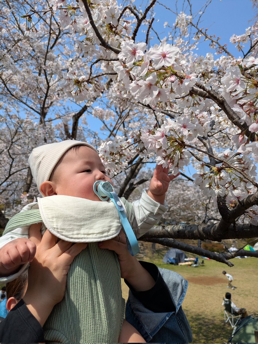 KP7010's tweet photo. マスクしないで花見したもんだから帰宅後鼻が崩壊してる🤧🤧🤧
油断したな、、、やっぱダメだ https://t.co/n9aC6bzOIn