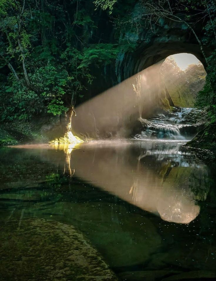 WORLD DECODED tweet media