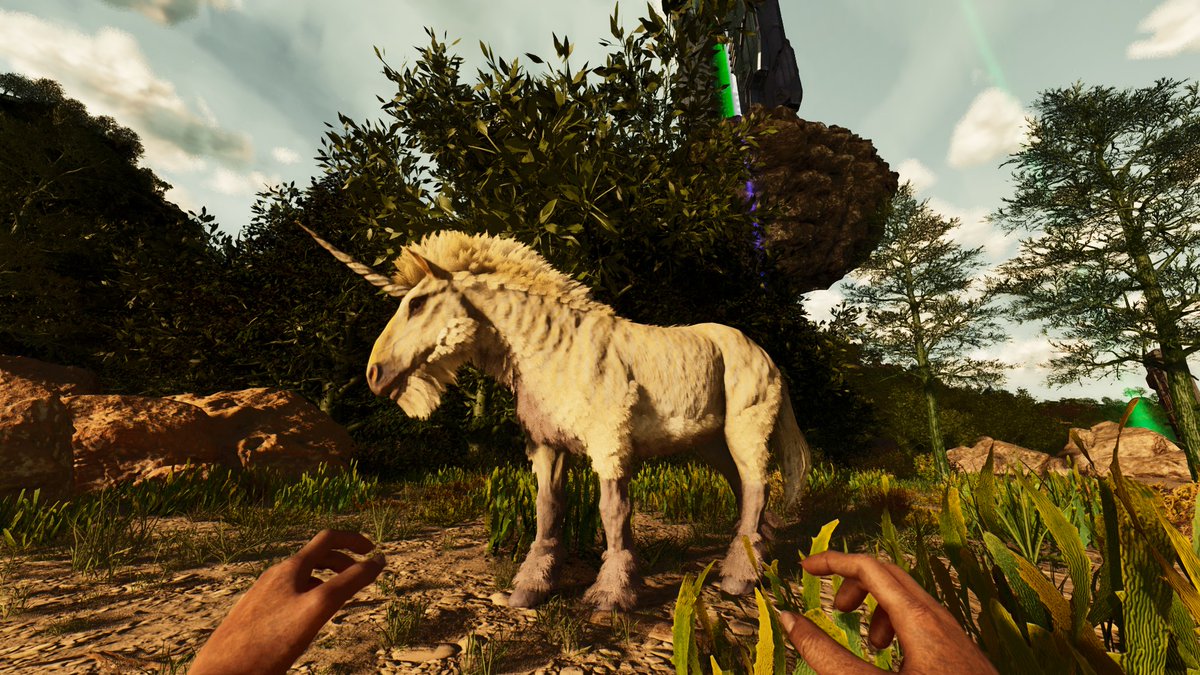 シェン tweet media