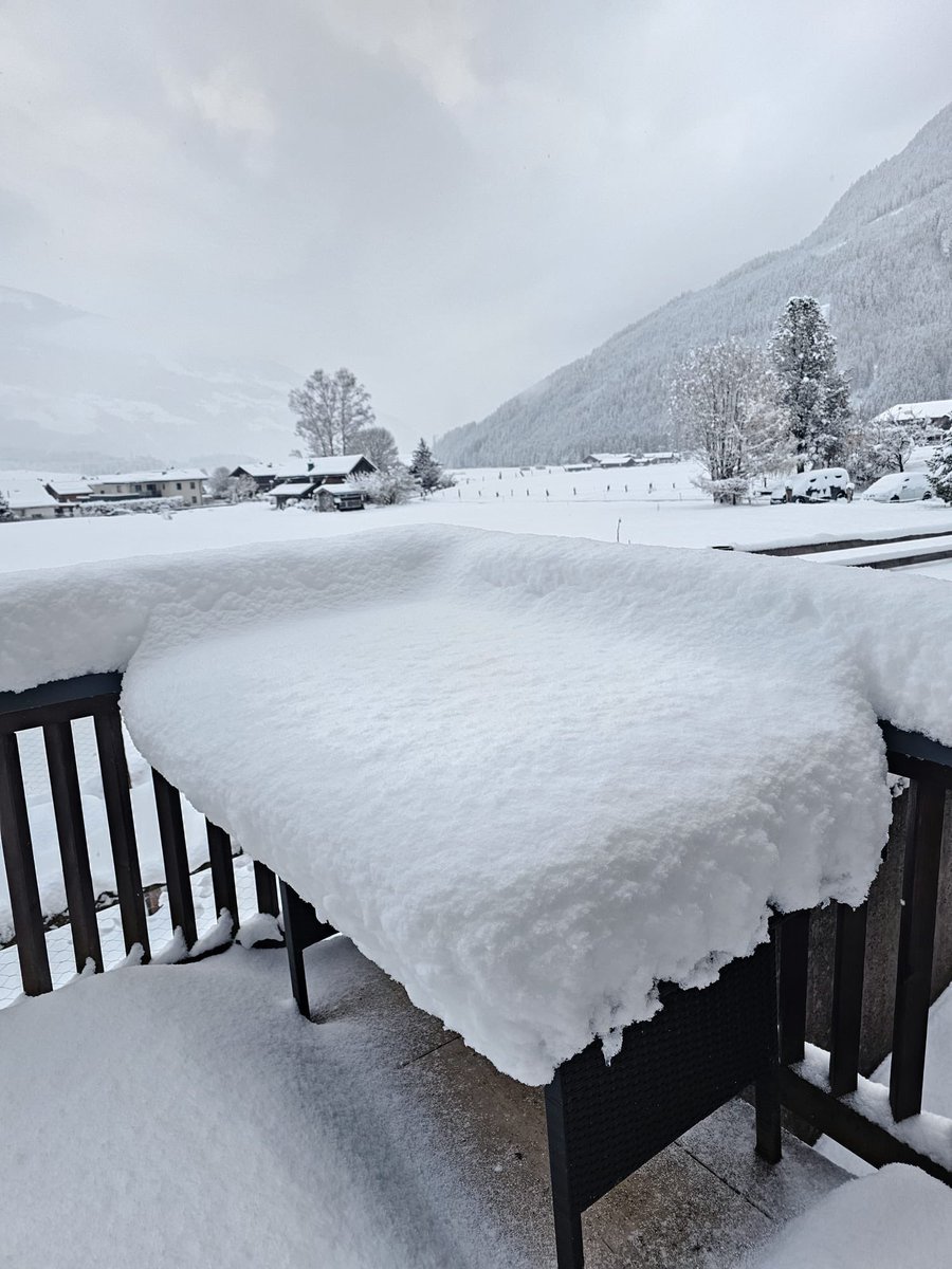 عبدالرحمن #النمسا 🇦🇹✈ tweet media