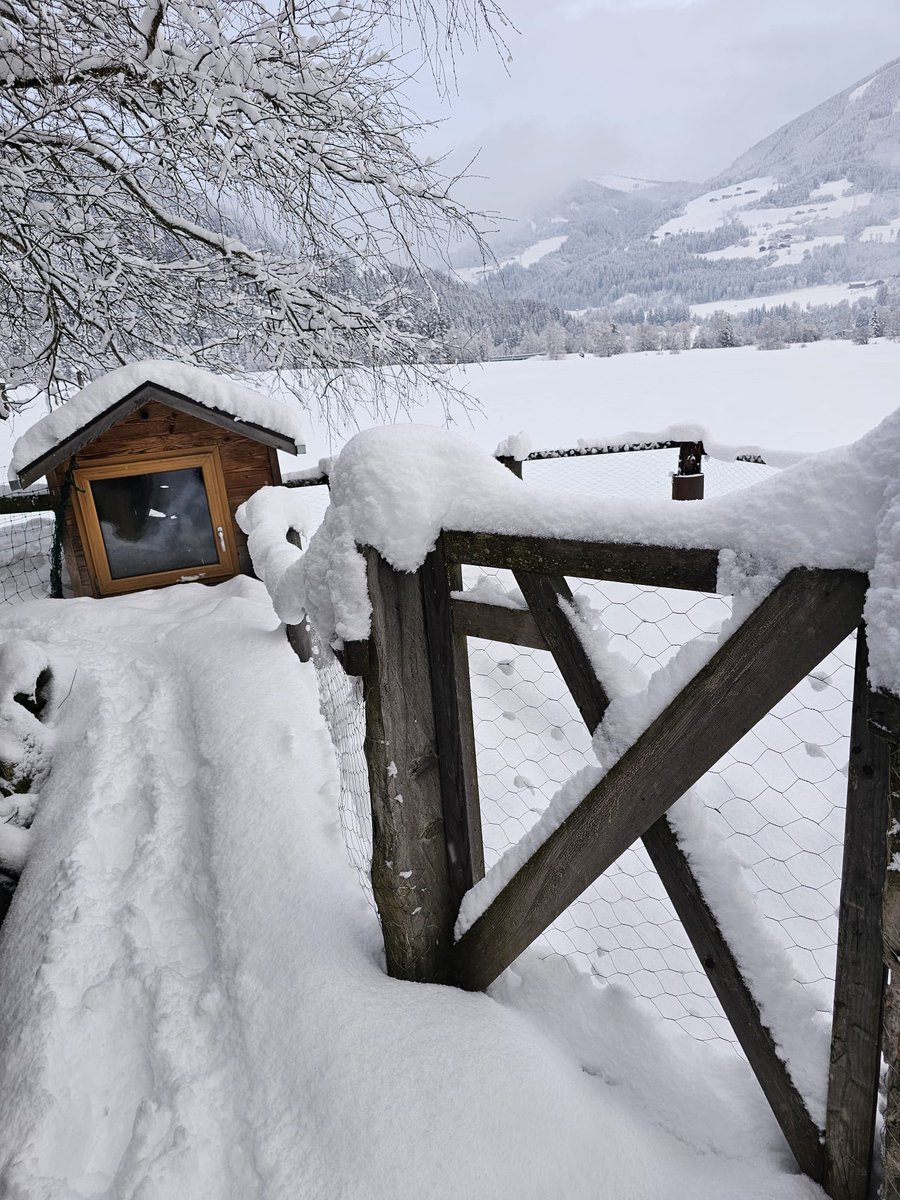 عبدالرحمن #النمسا 🇦🇹✈ tweet media