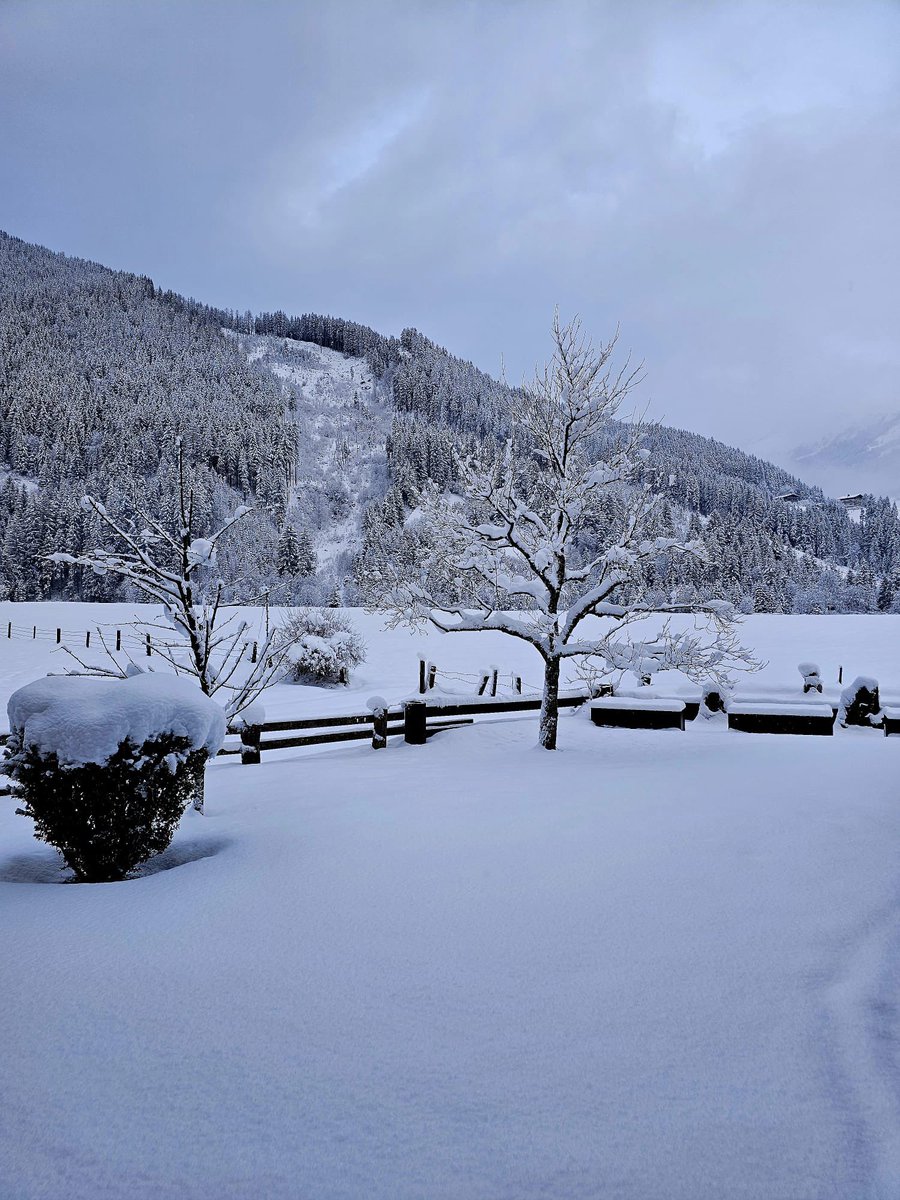 عبدالرحمن #النمسا 🇦🇹✈ tweet media