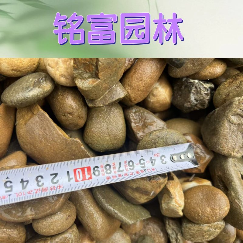 Alain Gilis tweet media