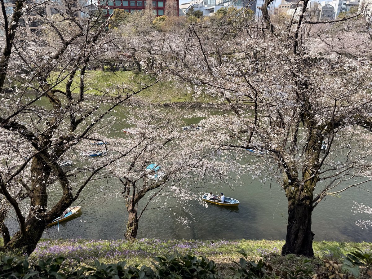 BuchioGames SNO 7/12 Release! tweet media