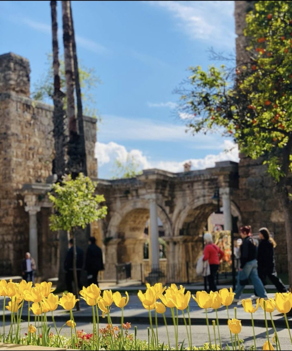 Bekir Sami Laman tweet media