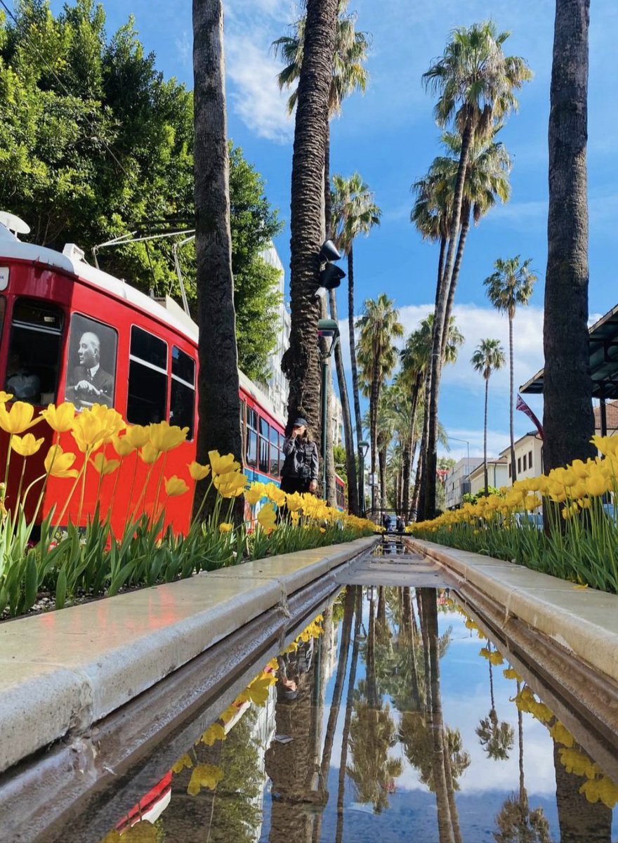 Bekir Sami Laman tweet media