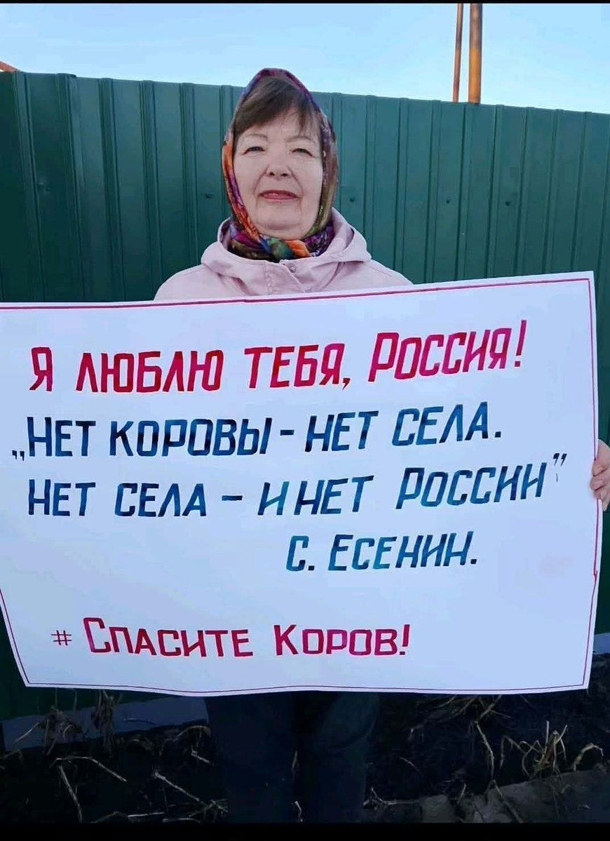 Надежда Родионова tweet media