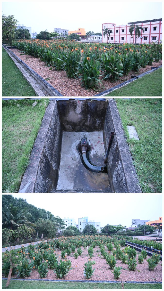 bmcbbsr's tweet image. BMC reuses treated waste water from STPs &amp;amp; FSTPs to water city plantations and medians, helping conserve water and protect coty's green carpet , especially during summer.
#WasteWaterReuse #FSTP #SmartCity #SwachhBhubaneswar #Bhubaneswar #CleanCityGreenCity