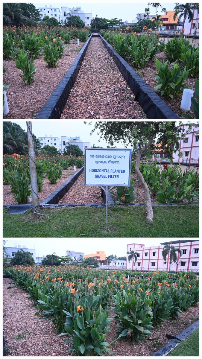 bmcbbsr's tweet image. BMC reuses treated waste water from STPs &amp;amp; FSTPs to water city plantations and medians, helping conserve water and protect coty's green carpet , especially during summer.
#WasteWaterReuse #FSTP #SmartCity #SwachhBhubaneswar #Bhubaneswar #CleanCityGreenCity