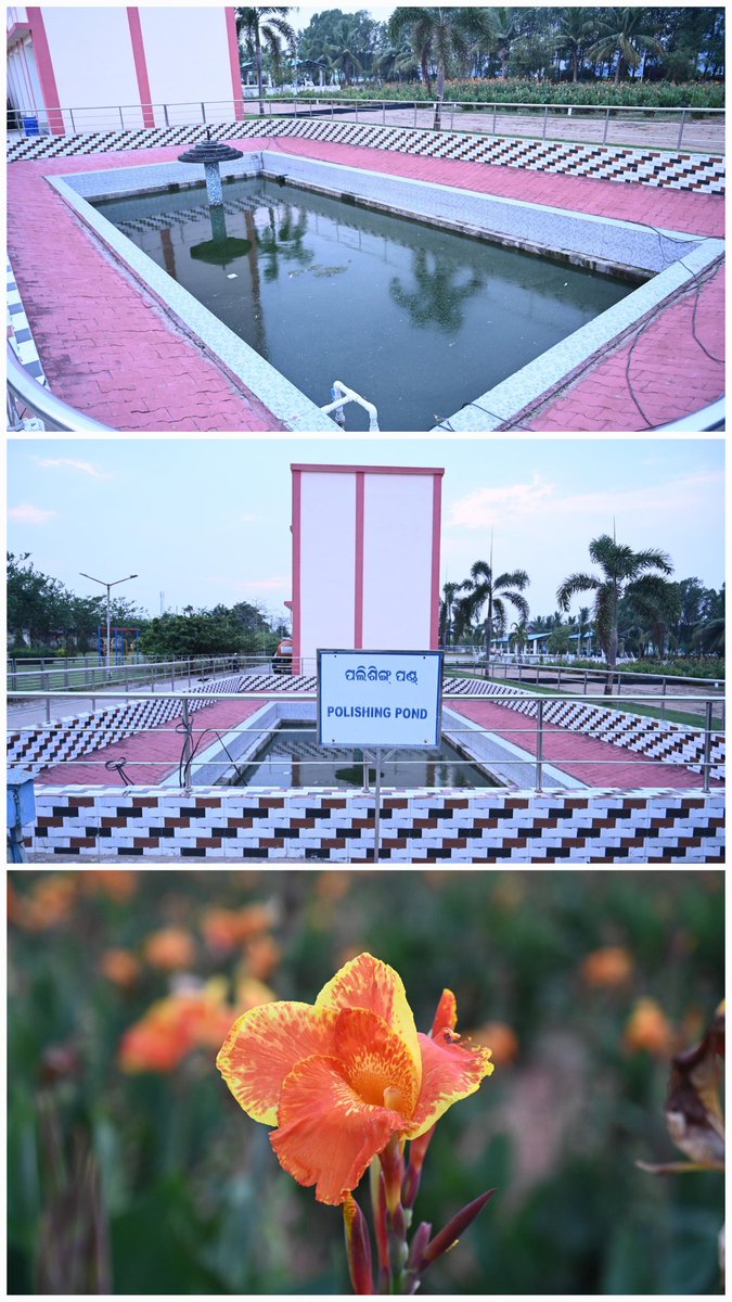 bmcbbsr's tweet image. BMC reuses treated waste water from STPs &amp;amp; FSTPs to water city plantations and medians, helping conserve water and protect coty's green carpet , especially during summer.
#WasteWaterReuse #FSTP #SmartCity #SwachhBhubaneswar #Bhubaneswar #CleanCityGreenCity