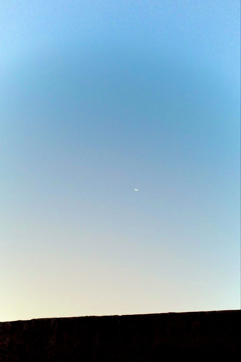 加蛋加肠七块 tweet media