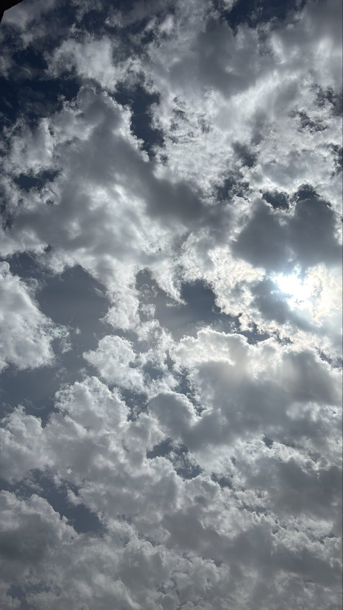 ruba🌷 tweet media