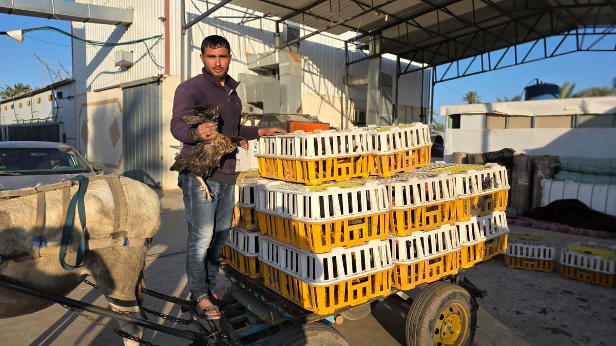 パルシック tweet media