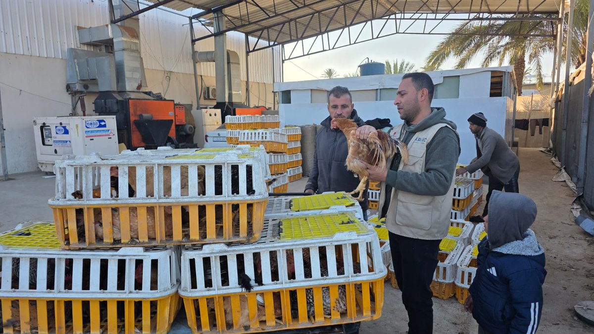 パルシック tweet media