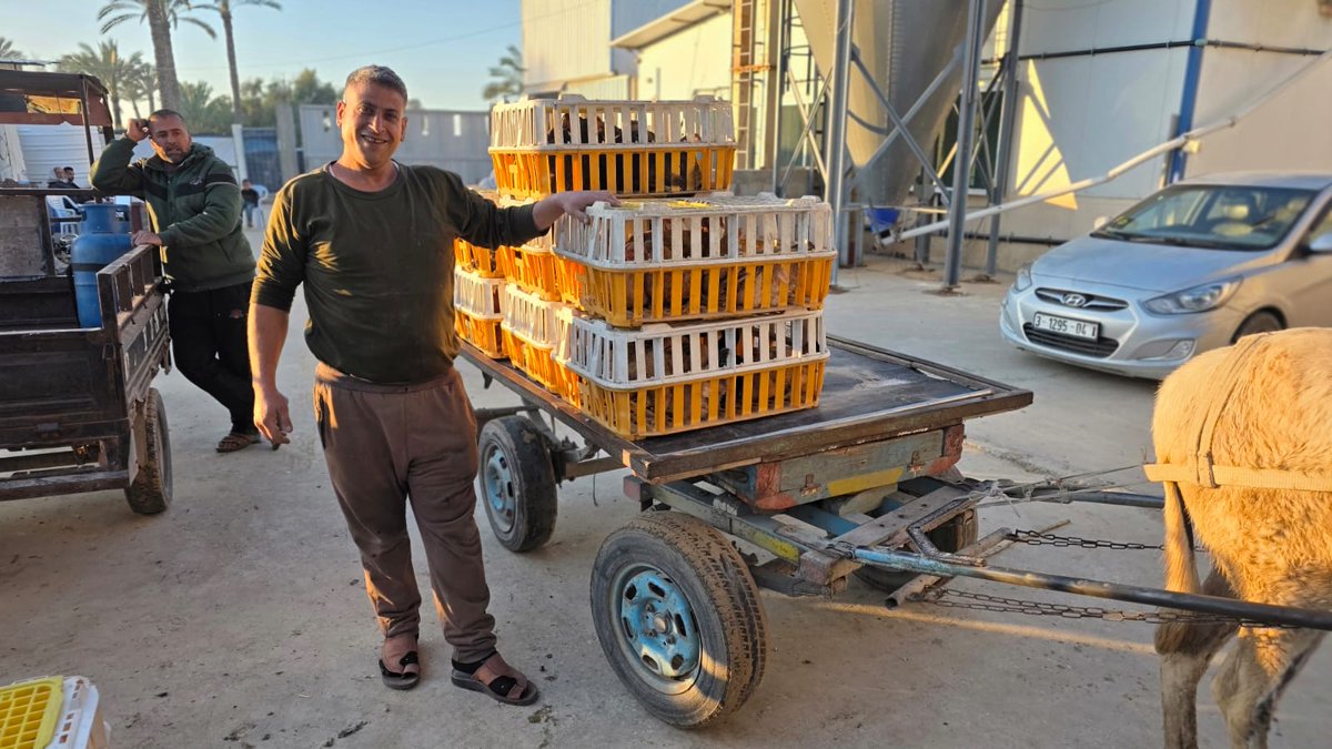 パルシック tweet media