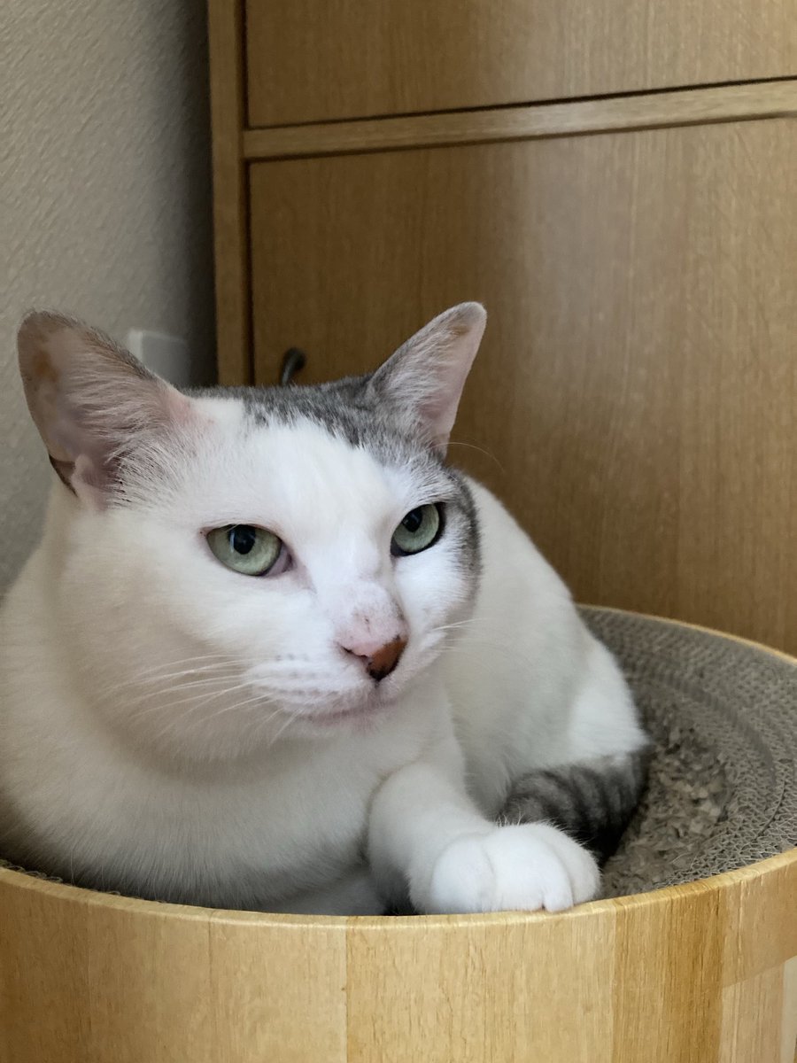 キャサリン tweet media